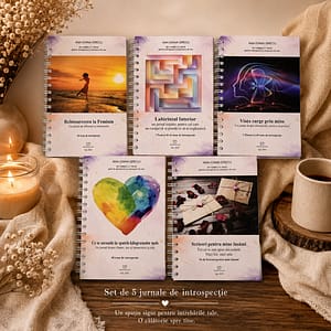 Setul de 5 jurnale de introspecție